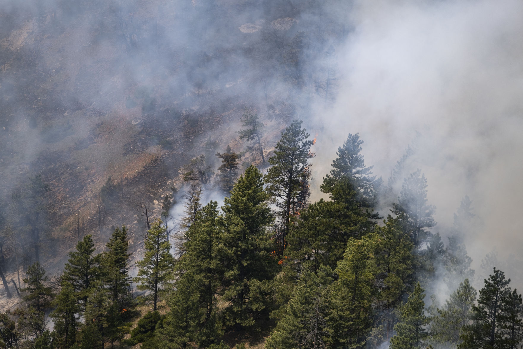 Crooked Creek Fire 2021
